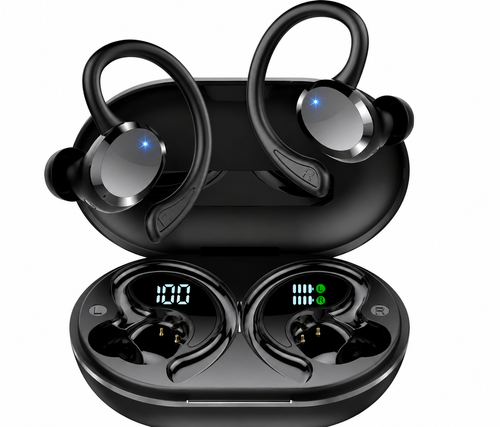 Telzeal TS8 Earbuds